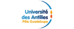 logos nib website université des antilles